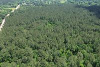 Land for sale in Livingston Parish, Louisiana