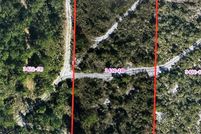 Land for sale in Osceola County, Florida