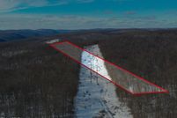 Land for sale in Delaware County, New York