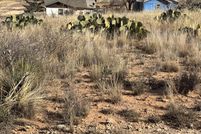 Land for sale in Terry County, Texas