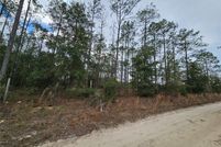 Land for sale in Levy County, Florida