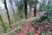 Land for sale in Thurston County, Washington