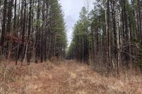 Undeveloped Land for sale in Tishomingo County, Mississippi