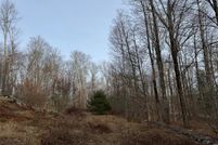 Undeveloped Land for sale in Sullivan County, New York