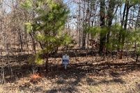 Land for sale in Johnson County, Illinois