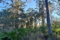 Homesite for sale in Polk County, Florida
