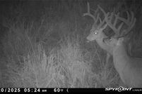 Undeveloped Land for sale in Boone County, Arkansas