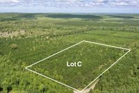 Land for sale in Benzie County, Michigan