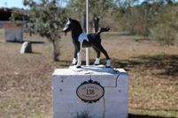 Land for sale in Walton County, Florida