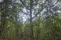 Waterfront Property for sale in Jefferson Davis County, Mississippi