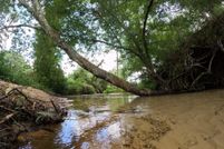 Land for sale in Marion County, Mississippi