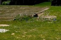 Land for sale in Clay County, Missouri