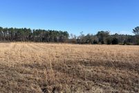 Land for sale in Pierce County, Georgia