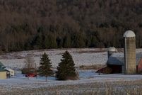 Land for sale in Potter County, Pennsylvania