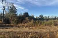 Land for sale in Stone County, Mississippi