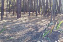 Land for sale in Marion County, South Carolina