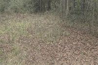 Land for sale in Chambers County, Alabama