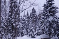 Land for sale in Alger County, Michigan