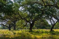 Land for sale in Hays County, Texas