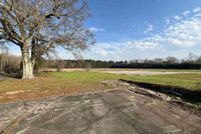 Undeveloped Land for sale in Escambia County, Alabama