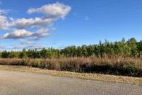 Undeveloped Land for sale in Santa Rosa County, Florida