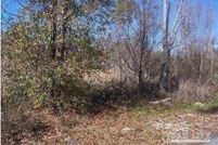 Land for sale in Gulf County, Florida