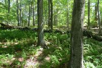 Undeveloped Land for sale in New London County, Connecticut