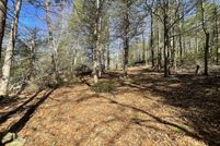 Undeveloped Land for sale in Litchfield County, Connecticut