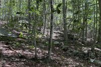 Undeveloped Land for sale in Middlesex County, Connecticut