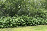 Land for sale in Litchfield County, Connecticut