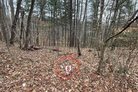 Land for sale in Patrick County, Virginia