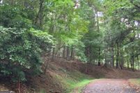 Land for sale in Gilmer County, Georgia