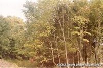 Timberland Property for sale in Floyd County, Indiana