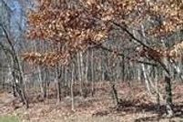 Homesite for sale in Schuylkill County, Pennsylvania