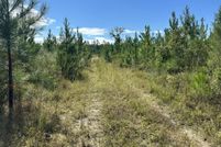 Land for sale in Okaloosa County, Florida