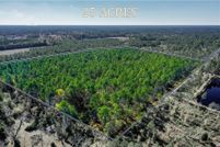 Land for sale in Ware County, Georgia