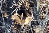 Land for sale in Sharkey County, Mississippi