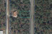 Land for sale in Levy County, Florida