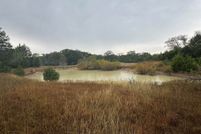 Land for sale in Freestone County, Texas