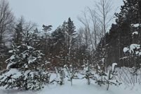 Land for sale in Benzie County, Michigan