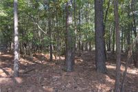 Land for sale in Harnett County, North Carolina