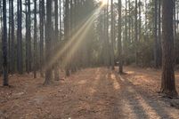 Land for sale in Holmes County, Florida