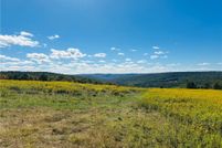 Undeveloped Land for sale in Delaware County, New York