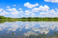 Land for sale in Starr County, Texas