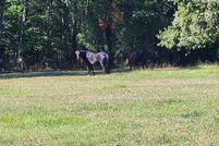 Recreational Property for sale in Franklin County, Tennessee