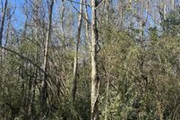 Land for sale in Baldwin County, Alabama