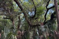 Land for sale in Brunswick County, North Carolina