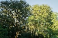 Land for sale in McIntosh County, Georgia