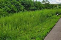 Land for sale in Onondaga County, New York