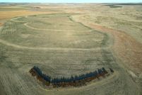 Land for sale in Cheyenne County, Kansas